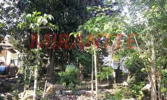 Imagem 7: Terreno em Vila Barreto