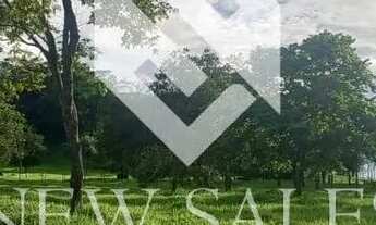 Imagem 6: Fazenda à venda c/ 2 alqueires, localizado logo após Santa Barbara