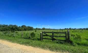 Imagem 2: Terreno Premium Próximo à RJ 216 no Ponto do Coqueiro
