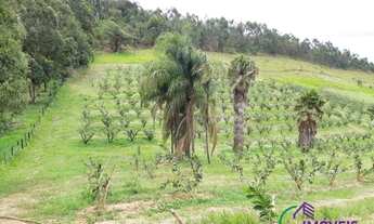 Imagem 3: SÍTIO - MORRO DAS PEDRAS - SP