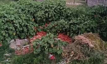 Imagem: Terreno em Nova Tramandaí