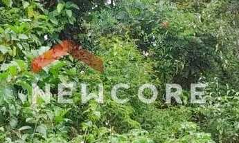 Imagem 2: Lote em - Antes de Iranduba - Iranduba/AM