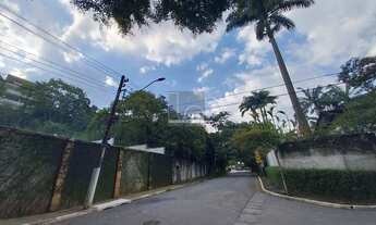 Imagem 5: LOTE / TERRENO A VENDA NO JARDIM VITÓRIA RÉGIA, COM 667 M², SÃO PAULO, SP