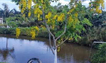 Imagem 5: Chácara em Nova Hartz