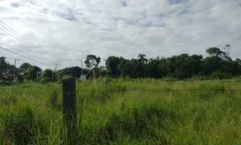 Imagem 6: Lote em Rodovia Professor Alfredo Rolim de Moura - Cocuera - Mogi das Cruzes/SP