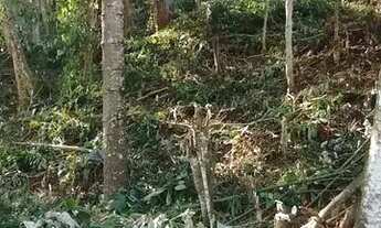 Imagem 4: Terreno para Venda em Nova Friburgo, Amparo