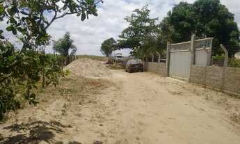 Imagem 6: Sítio em são miguel de taipu