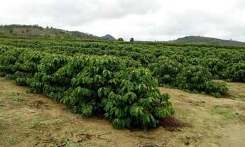 Imagem 6: Vendo fazenda entre são mateus e água limpa
