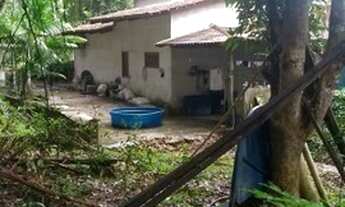 Imagem 2: Chácara Paraíso Tropical 80 x 60