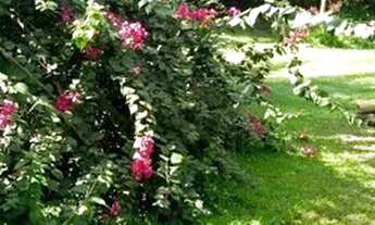 Imagem 5: Chácara Paraíso Tropical 80 x 60