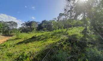 Imagem 2: Terreno 10000m2 para sitio, 1km da BR, Penha de Paulo Lopes