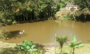 Imagem 3: Sítio para venda com 5,5 alqueires