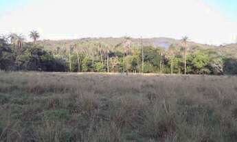 Imagem 4: Lindo baixado 80.000m² com luz, rio nos fundos, mata nativa, Jaboticatubas