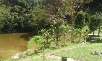 Imagem 6: Sítio para venda com 5,5 alqueires