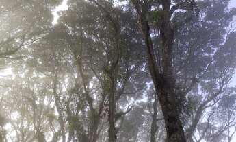 Imagem 4: 6800 mts com ribeirão.casa pitoresca 100 mil reais estudo próposta