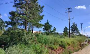 Imagem 2: Terreno Industrial 8000m2 Colombo Paraná