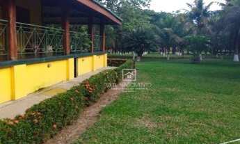 Imagem 5: Fazenda Região Pouso Alegre - MT