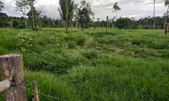 Imagem 7: SÍTIO DE 42 ALQUEIRES THEOBROMA