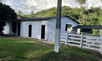 Imagem 3: Fazenda de luxo 36ha toda formada, lagoa de peixes, córrego, poço artesiano, Jaboticatubas