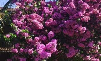 Imagem 2: Casa de condomínio sobrado para venda tem 550 metros quadrados com 4 quartos