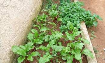 Imagem 6: Vendo Excelente Casa - Bairro Nazaré em Contagem