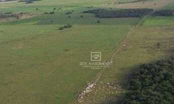 Imagem 2: Fazenda Região Pouso Alegre - MT