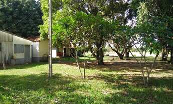 Imagem 6: Fazenda de 200 alqueires na região de Presidente Prudente dupla aptidão terra de cultura