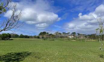 Imagem 3: Terreno à venda, 800 m² por R$ 550.000,00 - Ingleses do Rio Vermelho - Florianópolis/SC