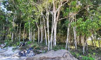 Imagem 4: Terreno em Trancoso BA