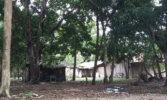 Imagem 5: Fazenda Goiás São João da Aliança