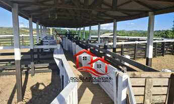 Imagem: Fazenda De 13.000 Hectares No Estado Do