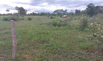 Imagem 7: Chacara 11.450 mt. Prox Novo Hospital Geral