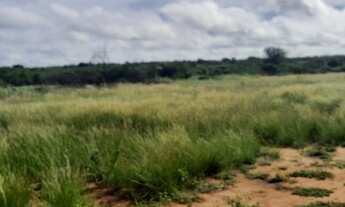 Imagem: R$ 15,00 o m²) (Terrenos para chacaras