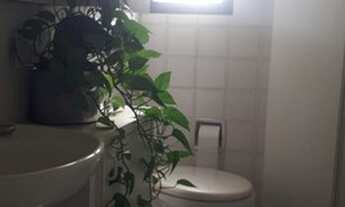 Imagem 3: CONJ. COMERCIAL - HIGIENÓPOLIS - SP