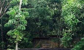 Imagem 5: Linda Chácara com muita área verde para pequenos eventos