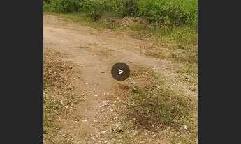 Imagem 3: Terreno Terreno / lote com aluguel por R$75.000.000 /mês