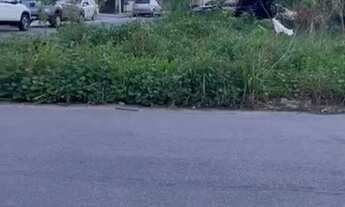 Imagem 4: ÁGUAS CLARAS Terreno / lote com venda por R$450.000