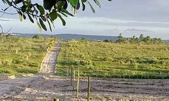 Imagem 2: Propriedade rural 9 hectares