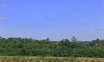 Imagem 2: Vendo terreno na estrada do pontal, Linhares-ES com 40 Alqueires