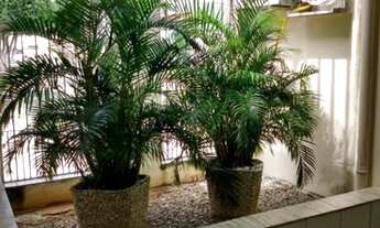 Imagem 3: Casa para vender com 3 quartos 1 suíte no bairro Candelária em Natal