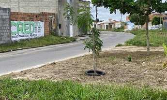 Imagem: Oportunidade vendo terreno no Albano Franco