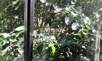 Imagem 6: São Paulo - Apartamento Padrão - Aclimação