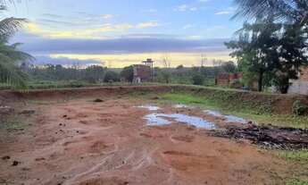 Imagem 7: SITIO PARA CRIAÇÃO DE TILÁPIAS