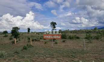 Imagem 4: Fazenda em Araguaçu-TO. Área Total: 125 Alqueires (605 Há