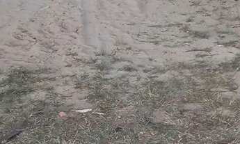 Imagem 6: Terreno no Icaraizinho de Amontada ceará