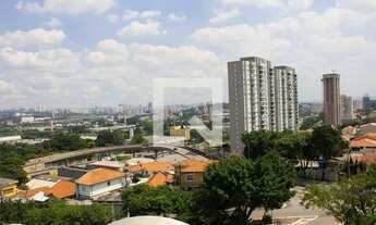 Imagem 6: Apartamento para Aluguel - City América, 2 Quartos, 65 m2