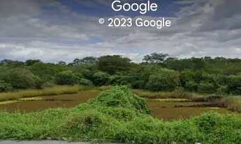 Imagem 2: Área 4.4 Hectares Beira de Pista na BR 230