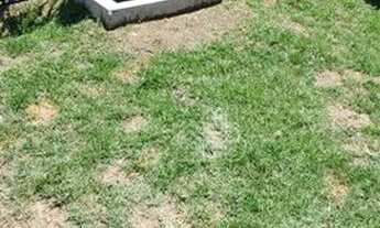 Imagem 3: Apartamento com 2 dormitórios à venda, 50 m² por R$ 200.000,00 - Pacheco - São Gonçalo/RJ