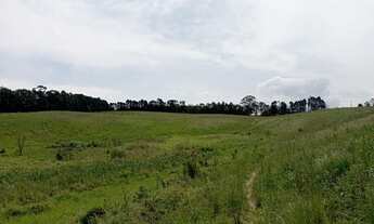 Imagem 5: Lote/Terreno para venda tem 1000 m² - Cotia - SP