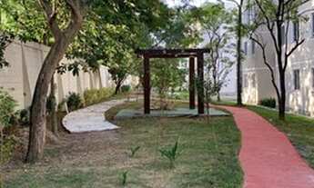 Imagem 6: Alugo Apartamento Campo Grande